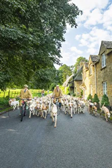 Images Dated 22nd January 2021: Hounds, Broadway, the Cotswolds, England, UK