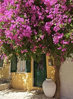 House Covered In Bougainvillea, Paxos, The Ionian Islands, Greek Islands, Greece, Europe