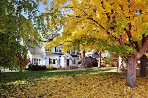 Images Dated 8th May 2012: House and gardens in autumn, Bend, Oregon, USA