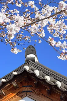 Detail of house in Gyeongju Gyochon Traditional Village, Gyeongju, South Korea