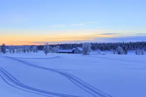Artic Circle Prints: House isolated in the boundless taiga at the border between Sweden and Finland