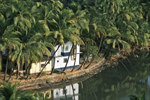 Western Ghats Prints: A house looks out on a palm-fringed lagoon
