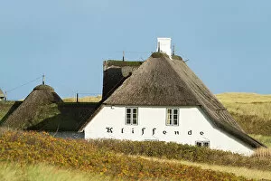 Dwellings Gallery: House with traditional thatched roof, Kampen, Sylt, Nordfriesland, Schleswig-Holstein, Germany
