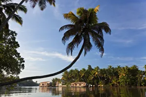 Alappuzha Gallery: Houseboat, Backwaters, Alappuzha or Alleppey, Kerala, India