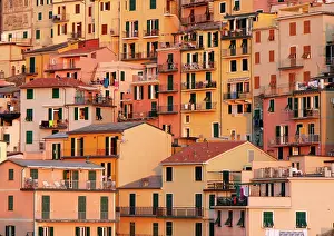 Manarola Prints: Houses in the village of Manarola, Cinque Terre, La Spezia district, Liguria, Italy