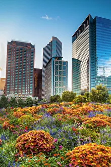 Places Prints: Houston Skyline, Texas, USA