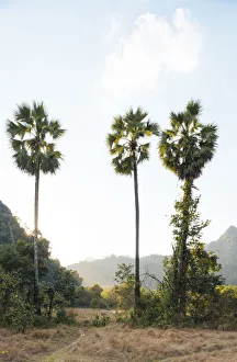 Hpa-an, Kayin State. Myanmar, Asia