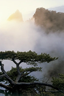 Huang Shan Mountains, Anhui province, China