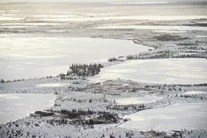 Bleak Prints: Hudson Bay lowlands at freeze-up from the air- Boreal trees and ponds