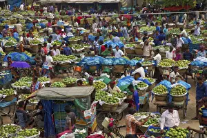 Bicycles Prints: Huge baskets of mangoes are assembled one of the largest markets at Kansat