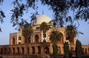 Cupolas Prints: Humayuns Tomb