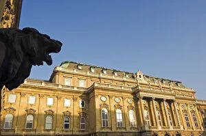 Images Dated 12th December 2005: Hungarian National Gallery and Lion Statue
