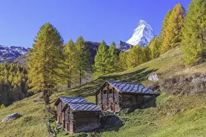 Chalet Prints: Huts on the pastures of Zermatt surrounded by yellowed larches and the Matterhorn