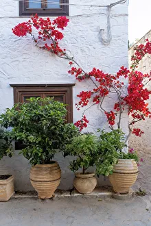 Hydra Prints: Hydra Town, Hydra (Ydra), Saronic Islands, Greece