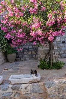 Hydra Prints: Hydra Town, Hydra (Ydra), Saronic Islands, Greece