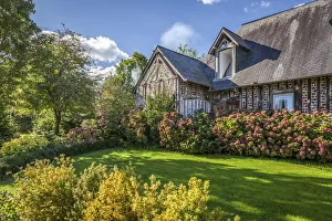 Hydrangeas Prints: Hydrangea garden in front of an old farm in Gonneville-sur-Honfleur, Calvados, Normandy