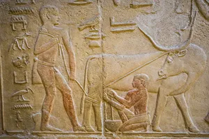 Hyroglyphs in the Mastaba (tomb) of Kagemni (c. 2321-2290 B. C. ) by the Pyramid of Teti