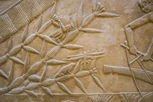 Hyroglyphs in the Mastaba (tomb) of Kagemni (c. 2321-2290 B. C. ) by the Pyramid of Teti