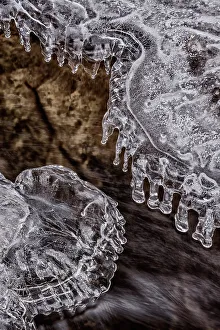 Frozen Details Prints: Ice details along Potts Creek in winter in Muskoka, Ontario, Canada
