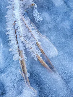 Abstract Image Prints: Ice details in winter, Thornton, Ontario, Canada