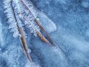 Abstract Image Prints: Ice details in winter, Thornton, Ontario, Canada