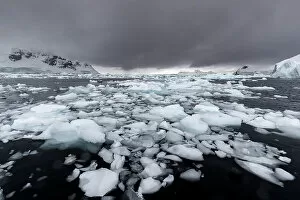 Ice floating in Wilhelmina Bay, Antarctica