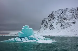 Svalbard Prints: Ice flows and bergs, Hamiltonbukta, Raudfjord, Spitsbergen, Svalbard, Norway