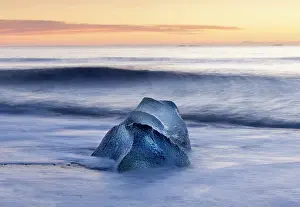 Iceberg Prints: Iceberg on the beach at sunrise, near Jokulsarlon glacial lagoon, Iceland