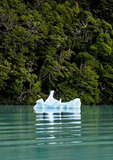 Iceberg on Lake Argentino, Los Glaciares National Park, Santa Cruz Province, Patagonia