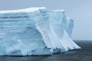 Sea Smoke Prints: Iceberg near South Thule - South Sandwich Islands, South Thule