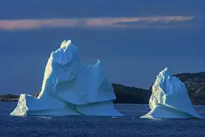 Newfoundland Prints: Icebergs floating in Salvage Bay of the Atlantic Ocean Eastport Newfoundland & Labrador