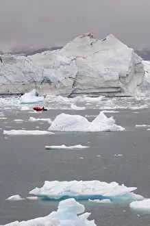 Images Dated 16th May 2014: Icebergs in the Johan- Petersen Fjord, Greenland