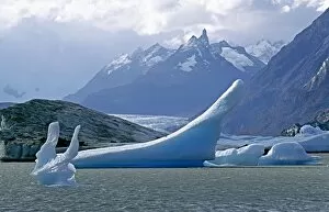 Northern Patagonia Gallery: Icebergs in Lago Grey