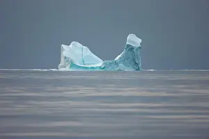 Inuit Prints: Icebergs off the coast of Etah