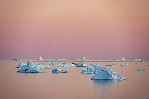 Qaanaaq Prints: Icebergs at sunrise off of Qaanaaq formerly known as Thule or New Thule