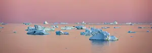 Polar Region Prints: Icebergs at sunrise off of Qaanaaq formerly known as Thule or New Thule