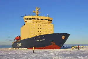Antarctica Prints: Icebreaker Kapitan Khlebnikov parking in ice - Antarctica