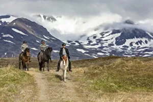 Iceland, Akureyri, 3 people riding Icelandic horses
