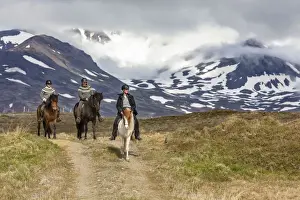 Activity Prints: Iceland, Akureyri, 3 people riding Icelandic horses