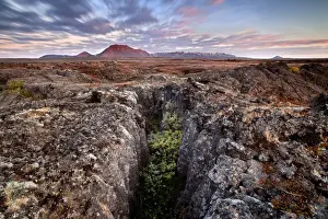 Nordurland Eystra Prints: Iceland, Northeast Iceland, Lava fields in the north western higlands