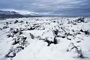 Snaefellsnes Prints: Iceland, Snaefellsnes, Fresh snow on the lava field during a cold morning