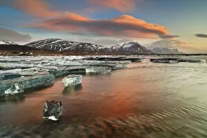 Lagoon Gallery: Iceland, South Iceland, Jokulsarlon, Ice on the lagoon reflecting the colours of dawn