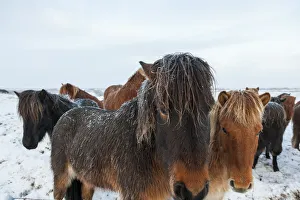 Images Dated 2013 January: 13 Jan 2013