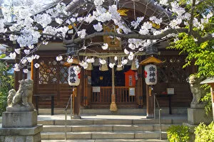 Kansai Collection: Ichinomiya shrine, Kobe, Kansai, Japan