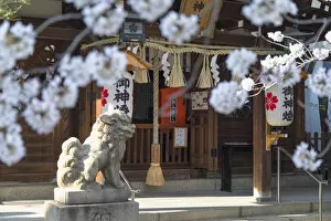 Images Dated 25th April 2018: Ichinomiya shrine, Kobe, Kansai, Japan