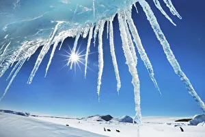 Antarctica Gallery: Icicle at iceberg - Antarctica, Antarctic Peninsula, Snowhill Island