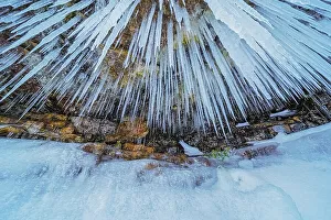 Icicles Prints: Icicles on the Niagara Escarpment, Bruce Peninsula, Ontario, Canada