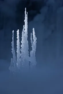 Icicles Prints: Icicles by Pericnik Waterfall, Julian Alps, Slovenia
