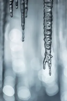Bokeh Prints: Icicles in tree branches beside waterfall, Triglave National Park, Slovenia