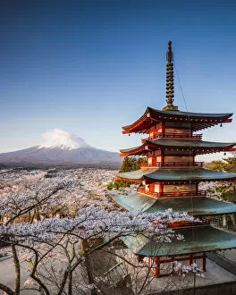Iconic Chureito pagoda during cherry blossom season with mt. Fuji, Fuji Five lakes, Japan